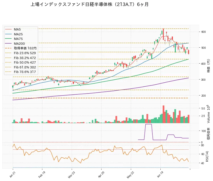 Listed Index Fund Nikkei Semiconductor Stock 6ヶ月チャート