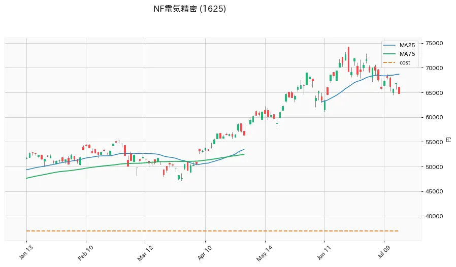 NF電気精密 6ヶ月
