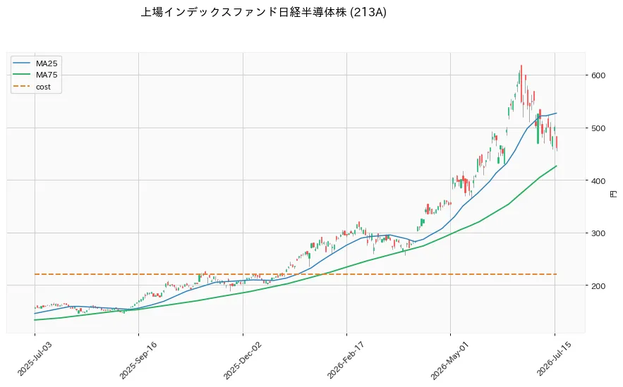 上場インデックスファンド日経半導体株 1年