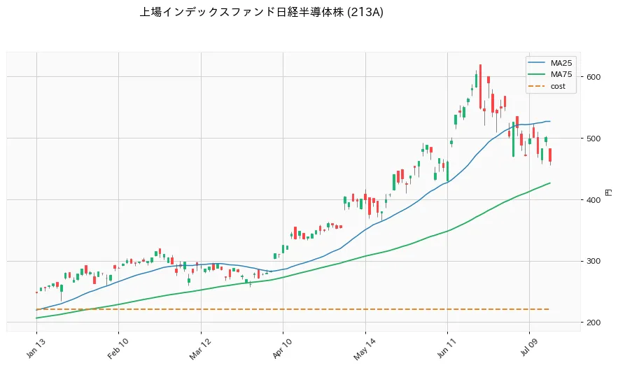 上場インデックスファンド日経半導体株 6ヶ月