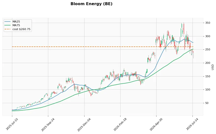 Bloom Energy 1年