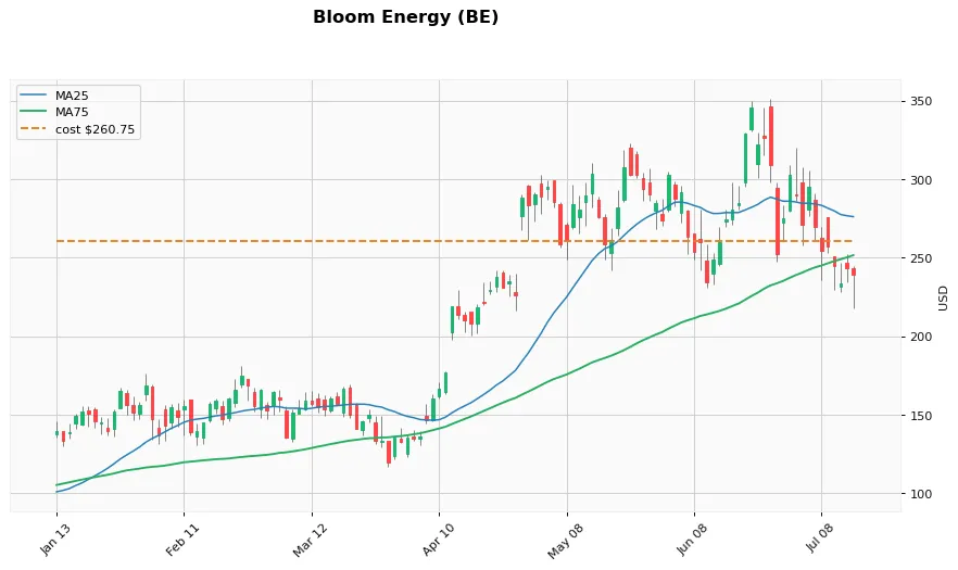 Bloom Energy 6ヶ月
