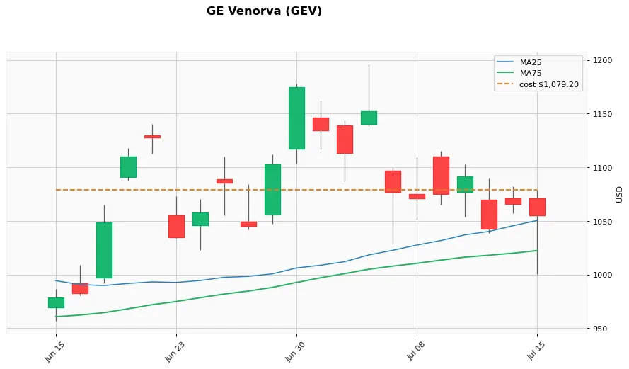 GE Venorva 1ヶ月