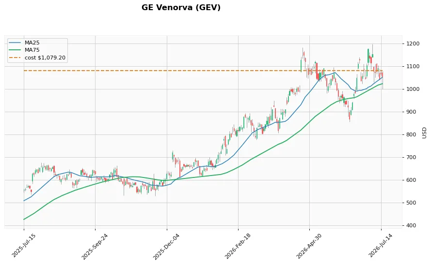 GE Venorva 1年