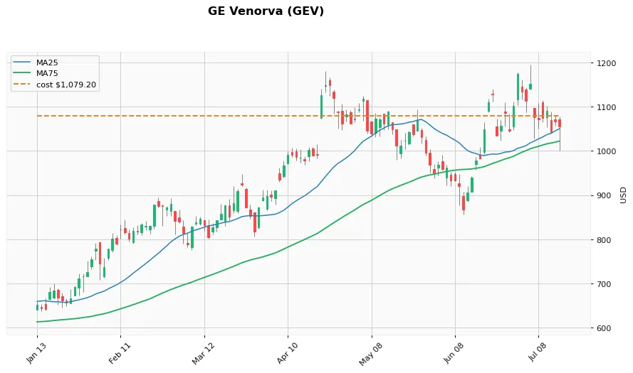 GE Venorva 6ヶ月