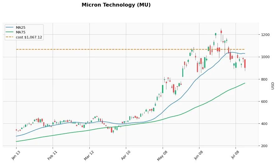 Micron Technology 6ヶ月