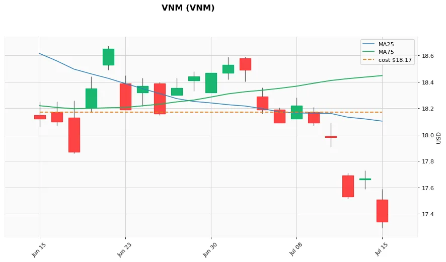 VNM 1ヶ月