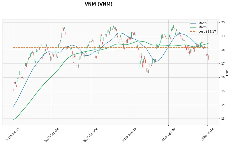 VNM 1年
