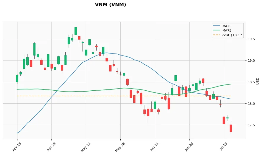 VNM 3M